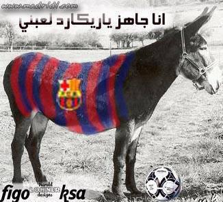 hmaaaaaaaaaaaaaaaaar